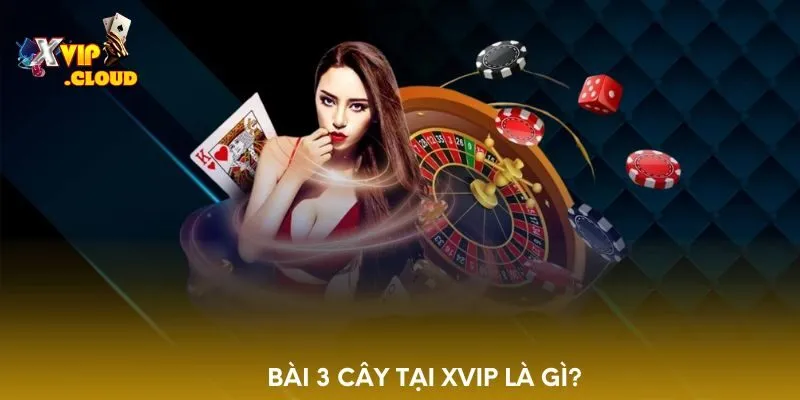 bai-3-cay-tai-xvip-la-gi