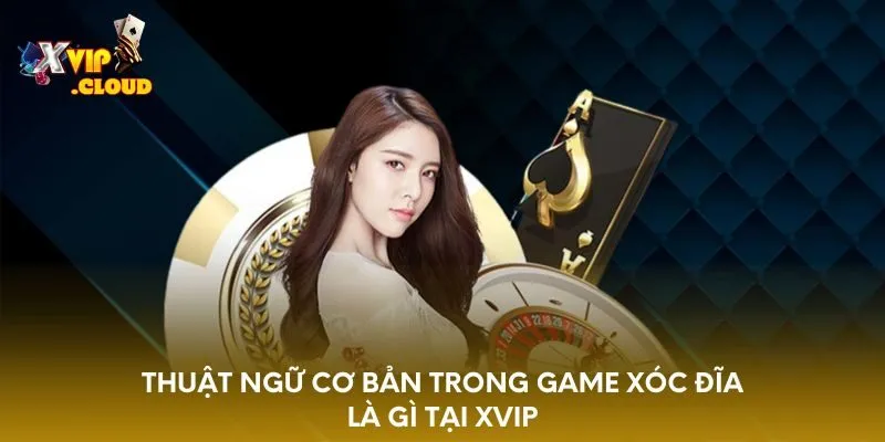 thuat-ngu-co-ban-trong-game-xoc-dia-la-gi-tai-xvip